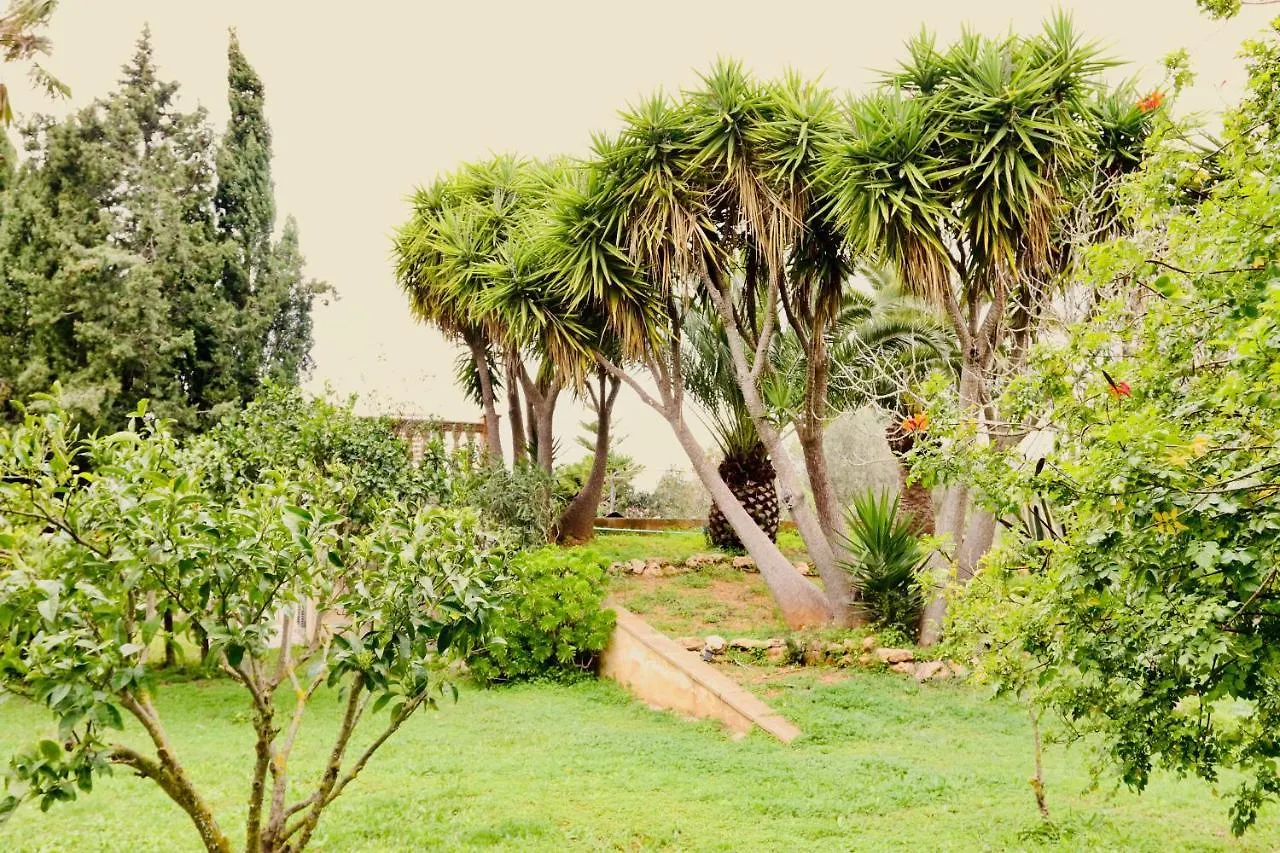Holiday home Finca Randa, Llucmayor, Bis 3 Sz, Pool, Garten Llucmajor