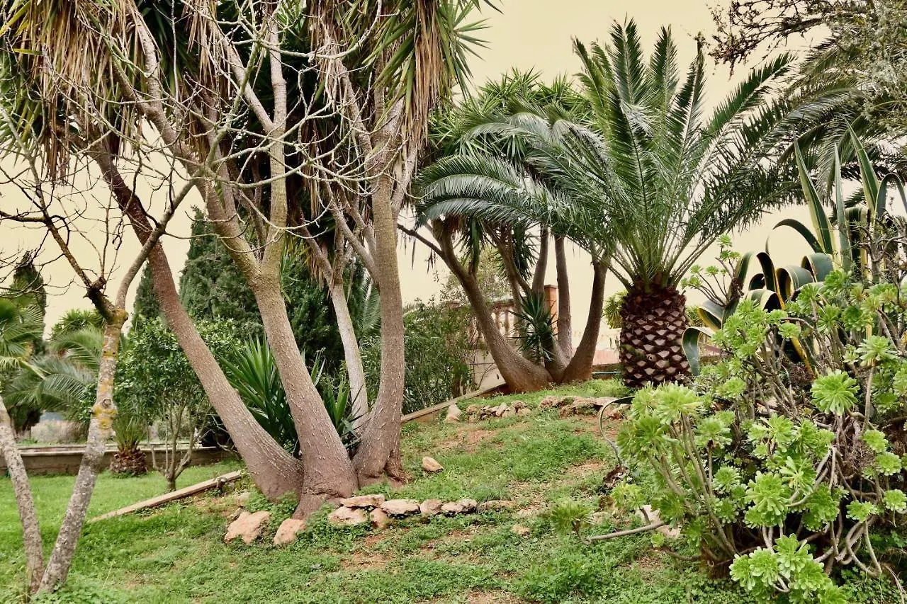 Finca Randa, Llucmayor, bis 3 SZ, Pool, Garten Llucmajor  0*, Llucmajor (Mallorca) Spanien